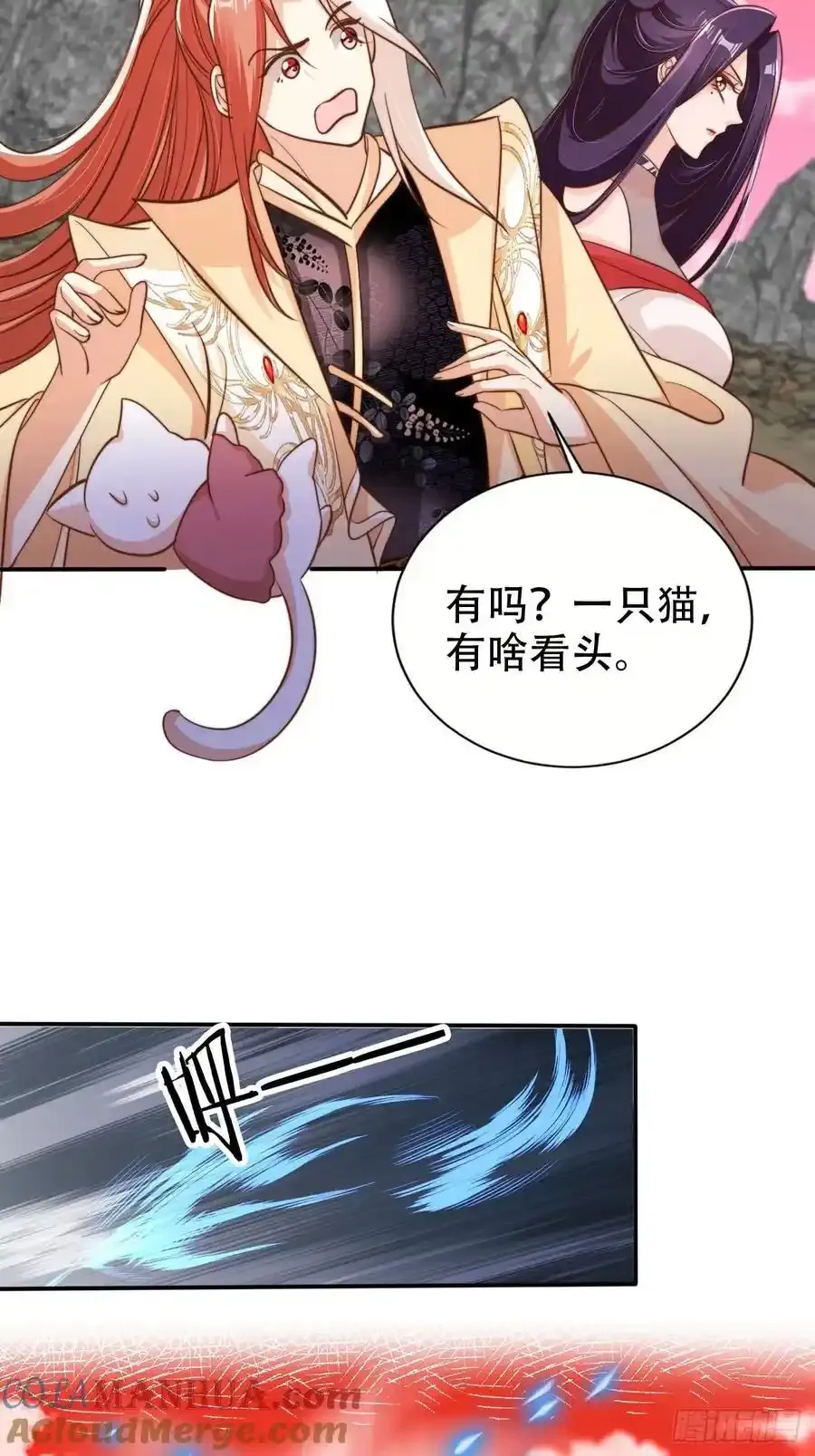 125 猫猫化形了？！26