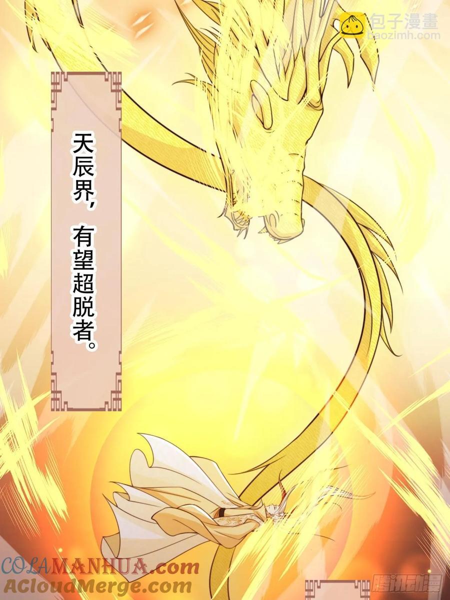88 靠山来了21