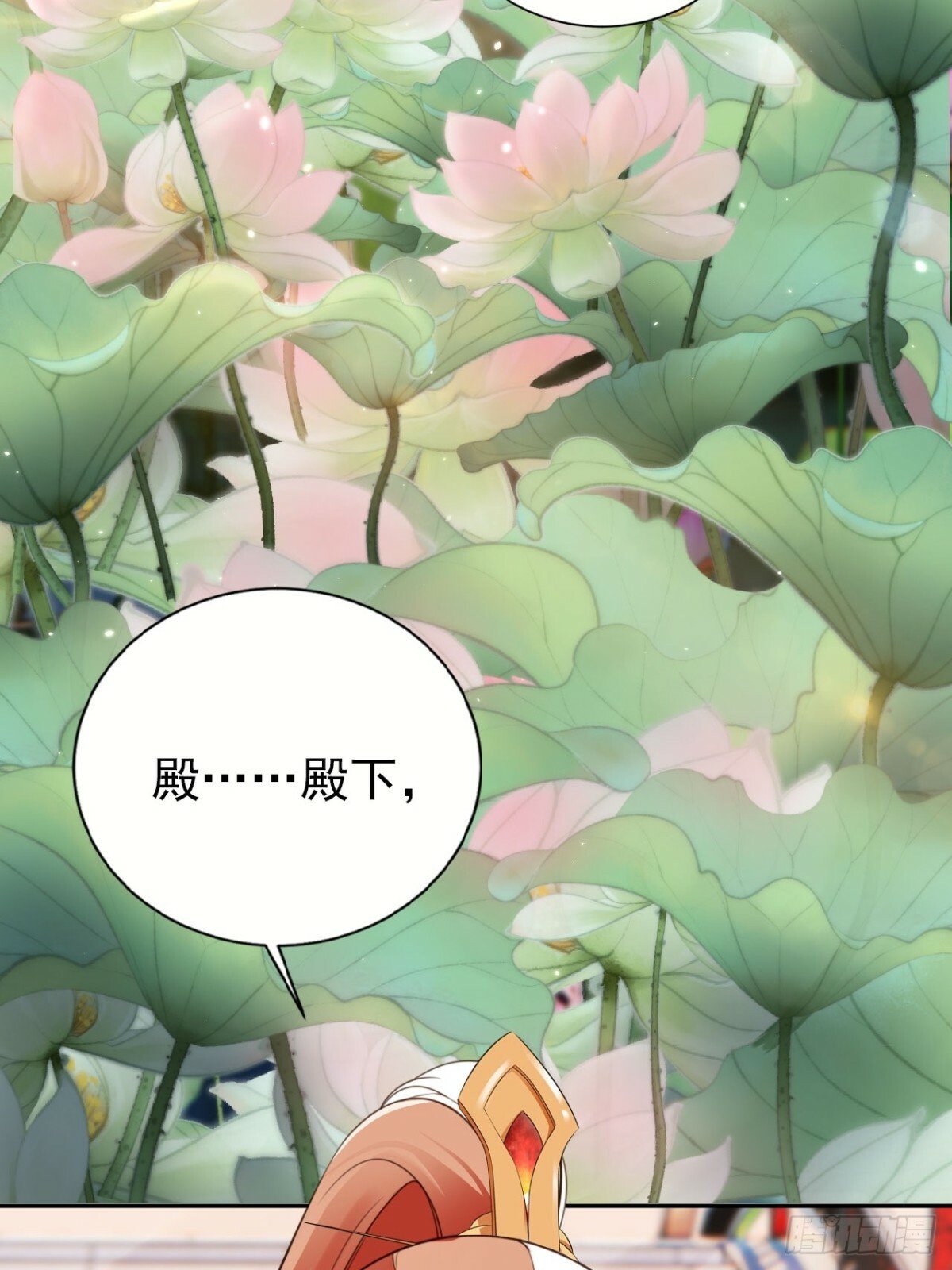 51 老大终于穿上了……33