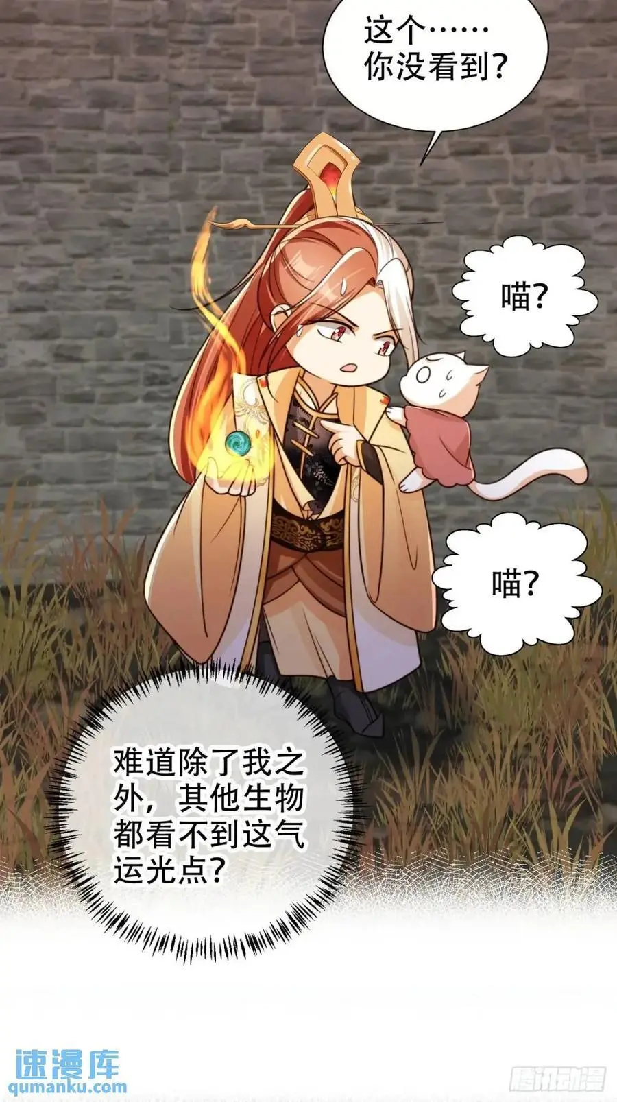 119 机缘15