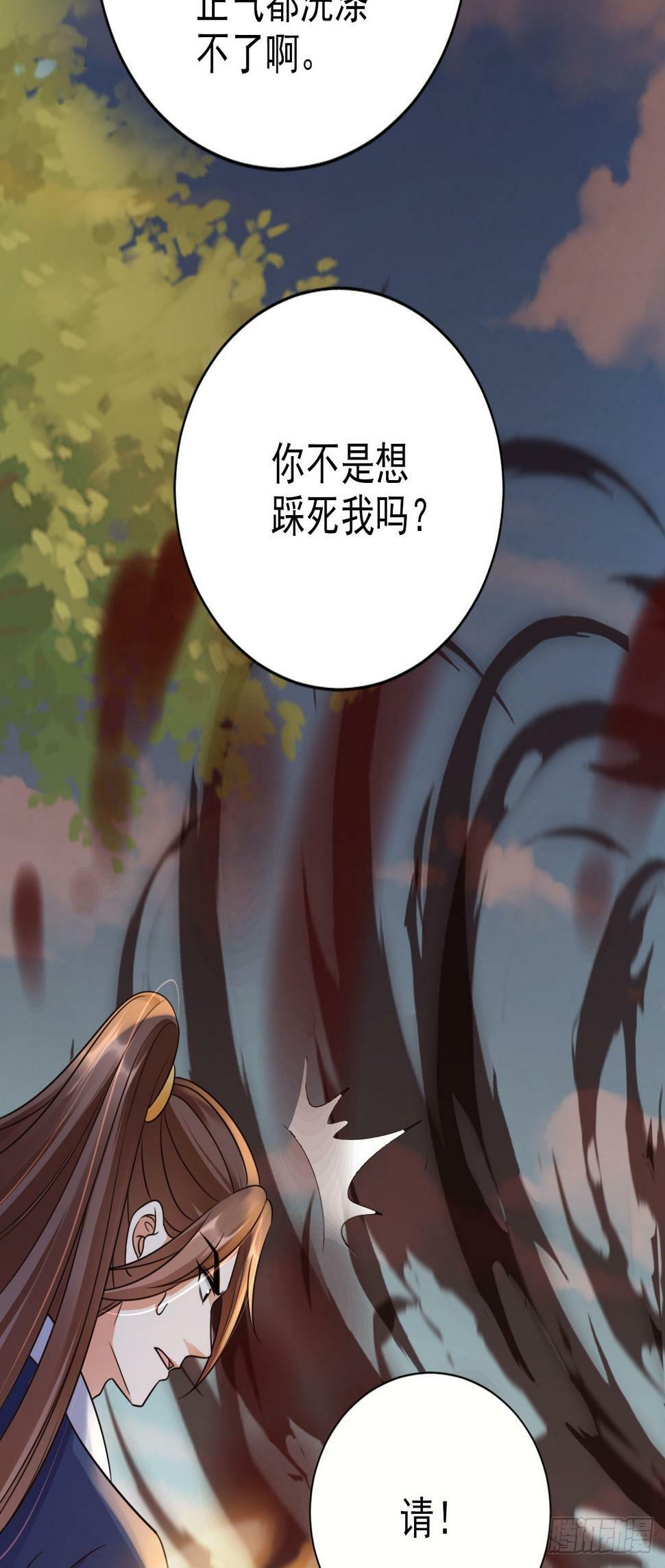 37 你只会缩在龟壳里？4