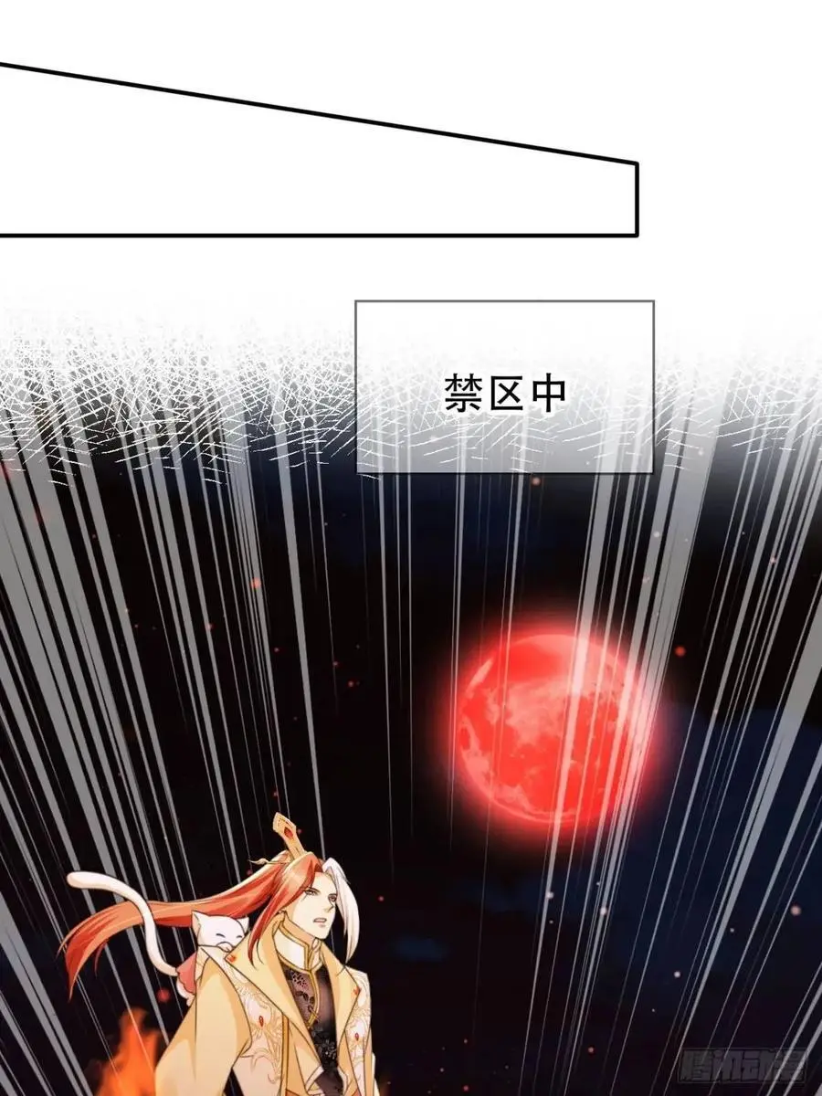 114 数理化走遍天下16