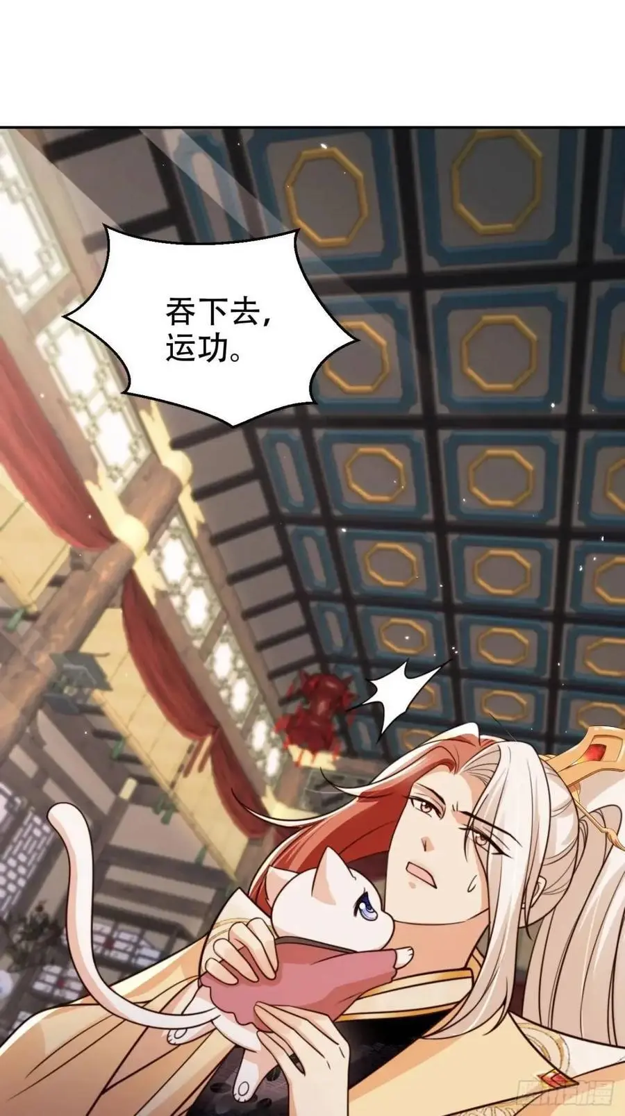 109 喵喵拳1