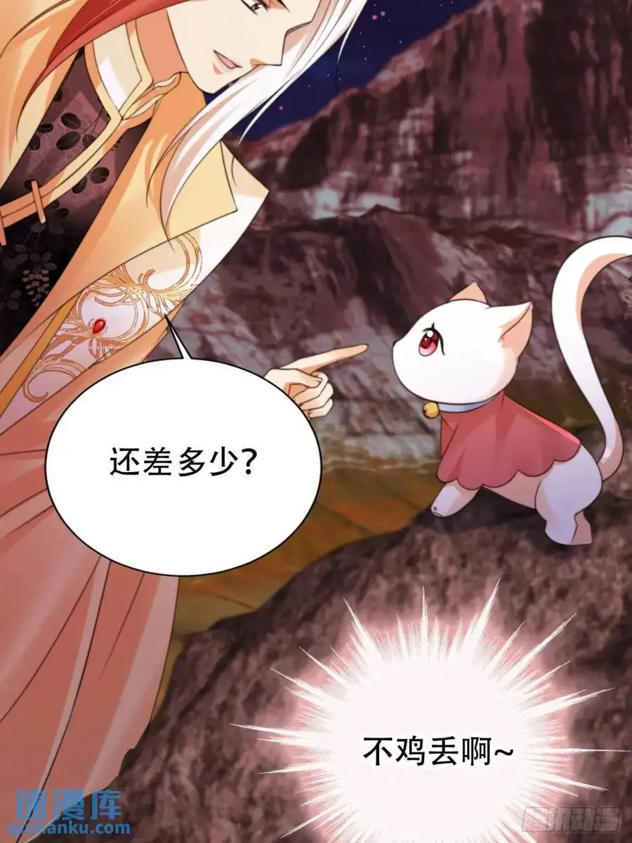 113 补偿31
