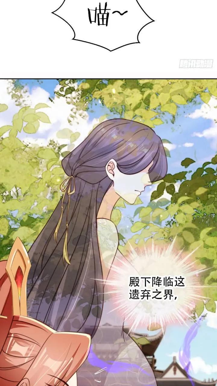 95 踢馆29