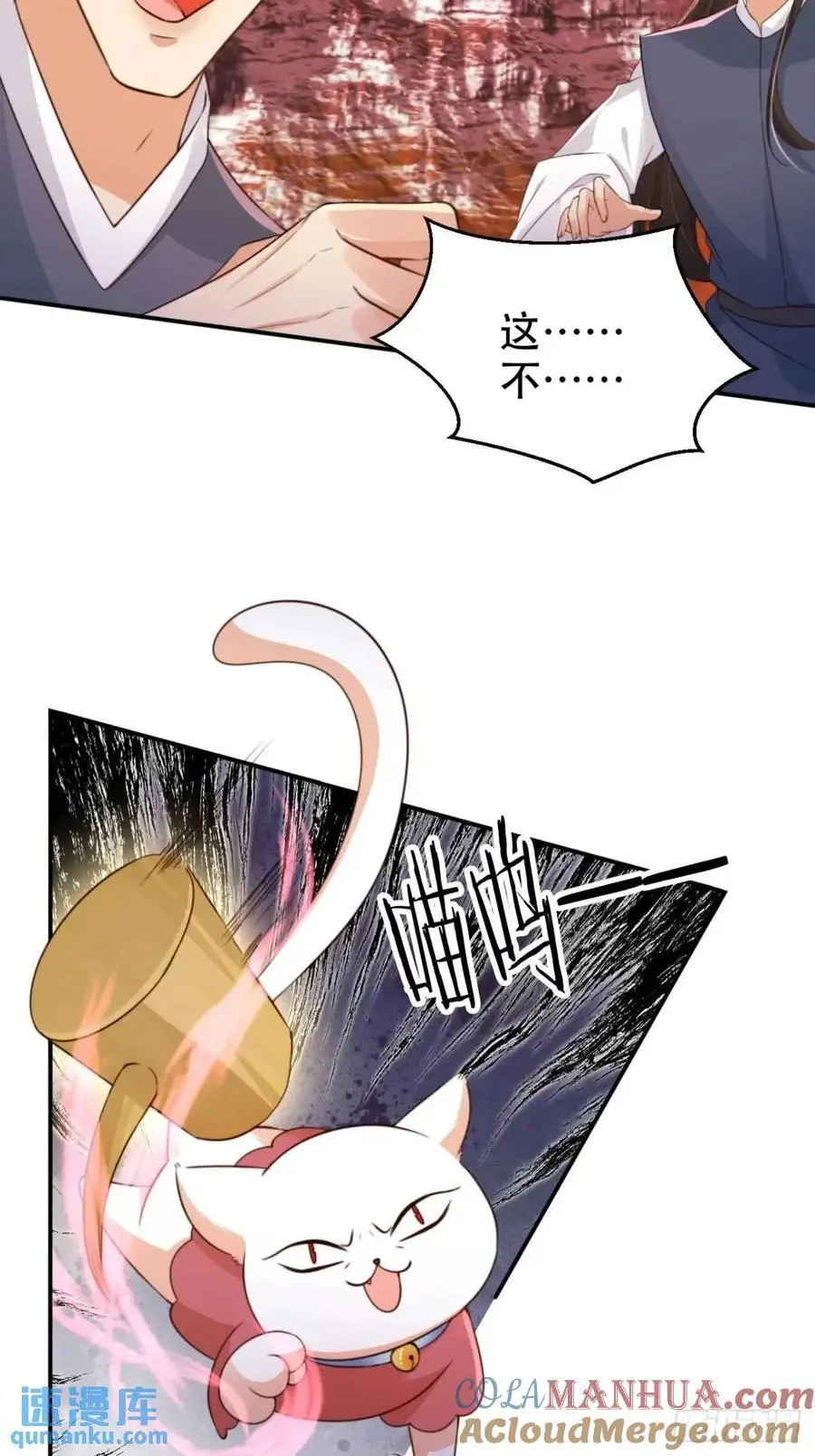 113 补偿6
