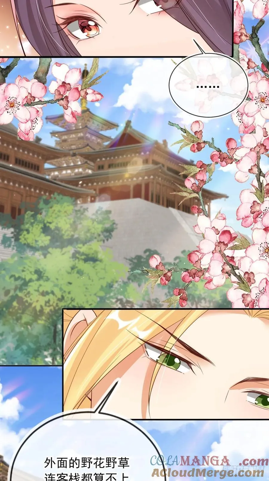 166 老大越玩越花了22