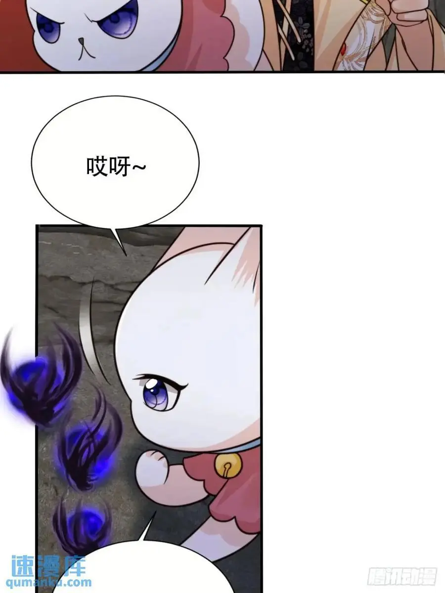 115 喵说话了？！27