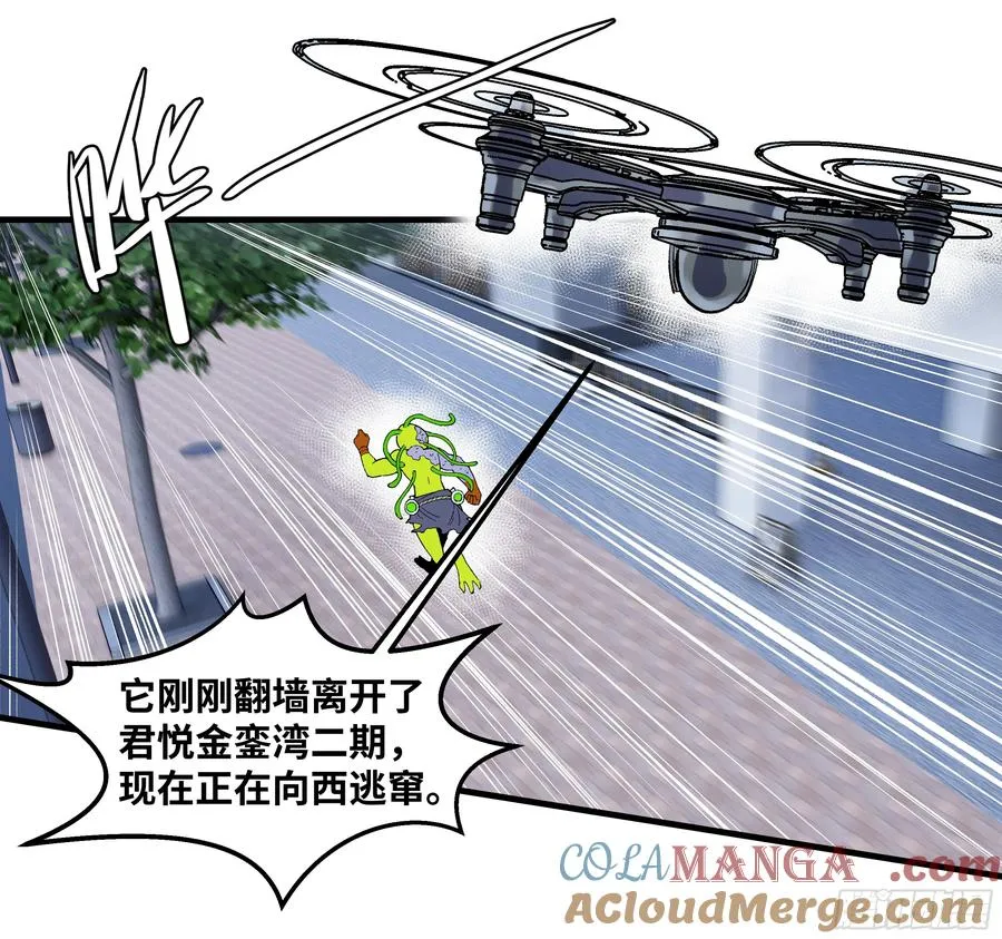 65 进化16