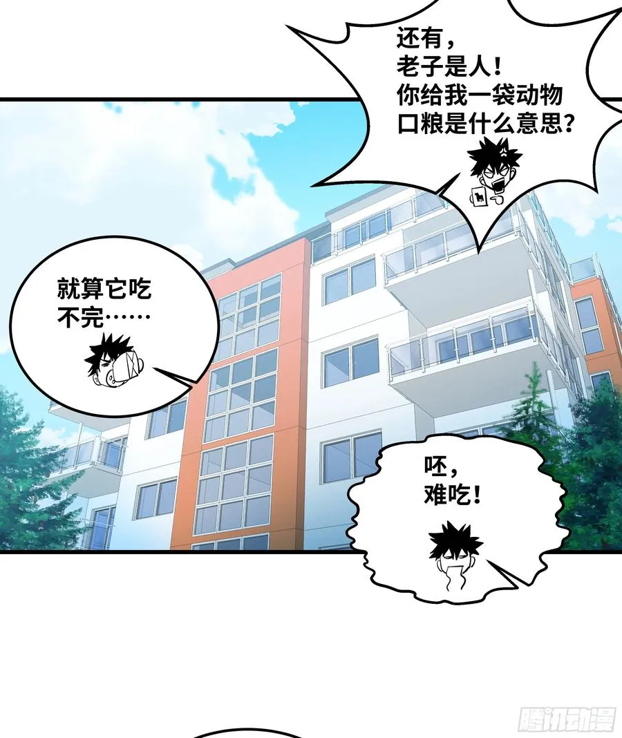 37 谨慎的霍格（明天还有一话27