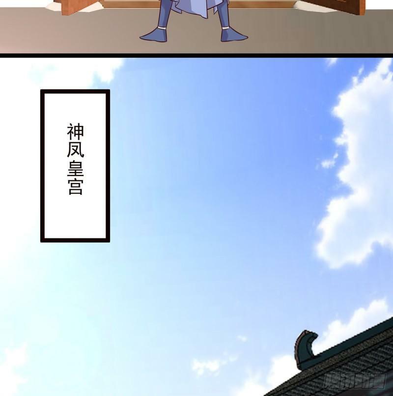报仇71