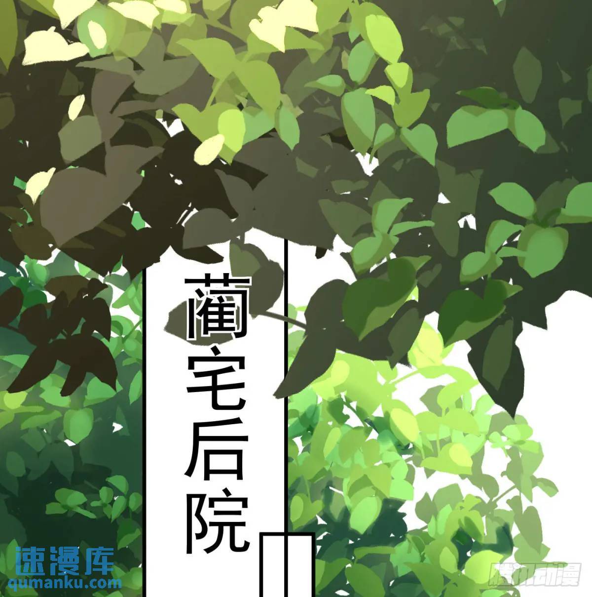 提亲77