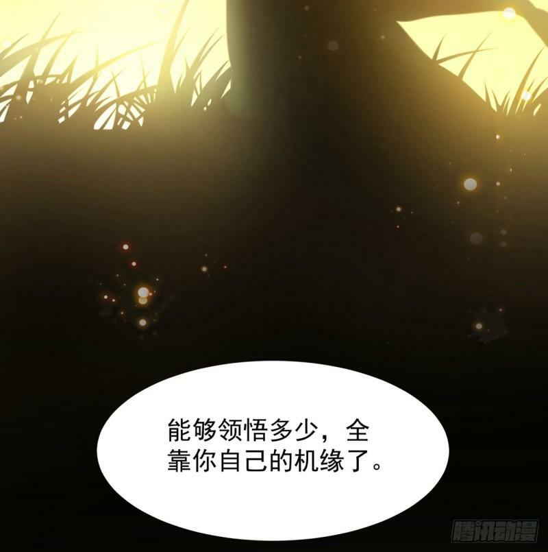报仇52