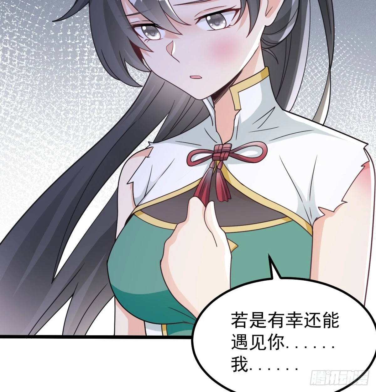 重振蔺家48