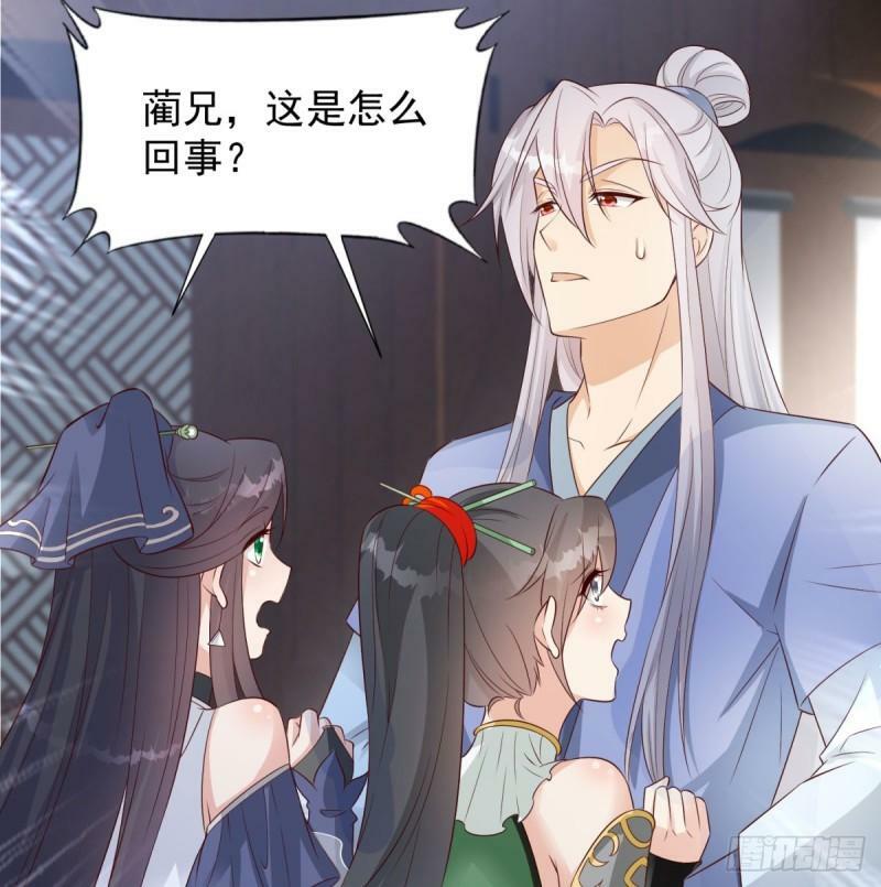 报仇26