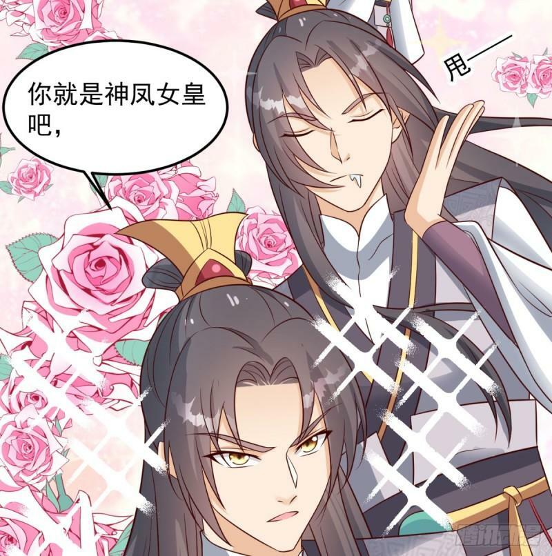 单挑48