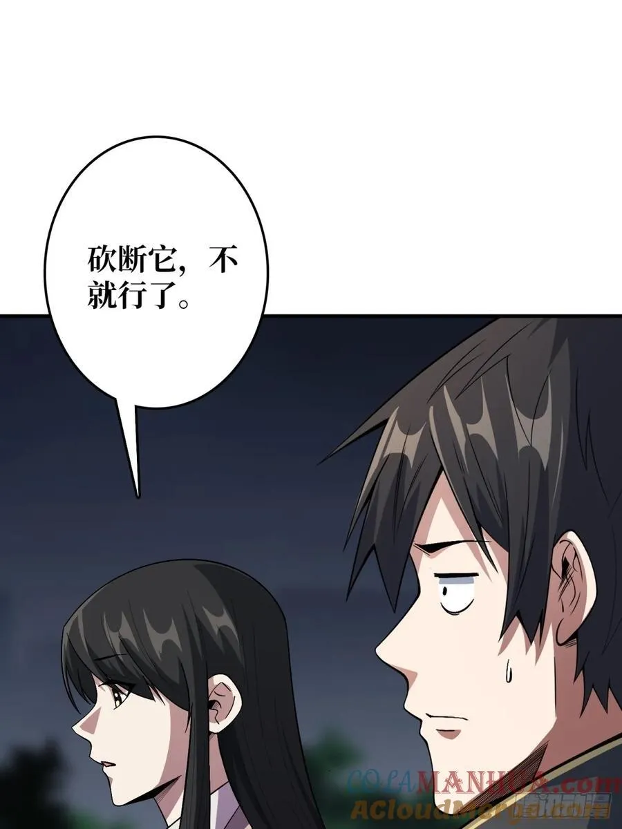 第113话 出生之地27