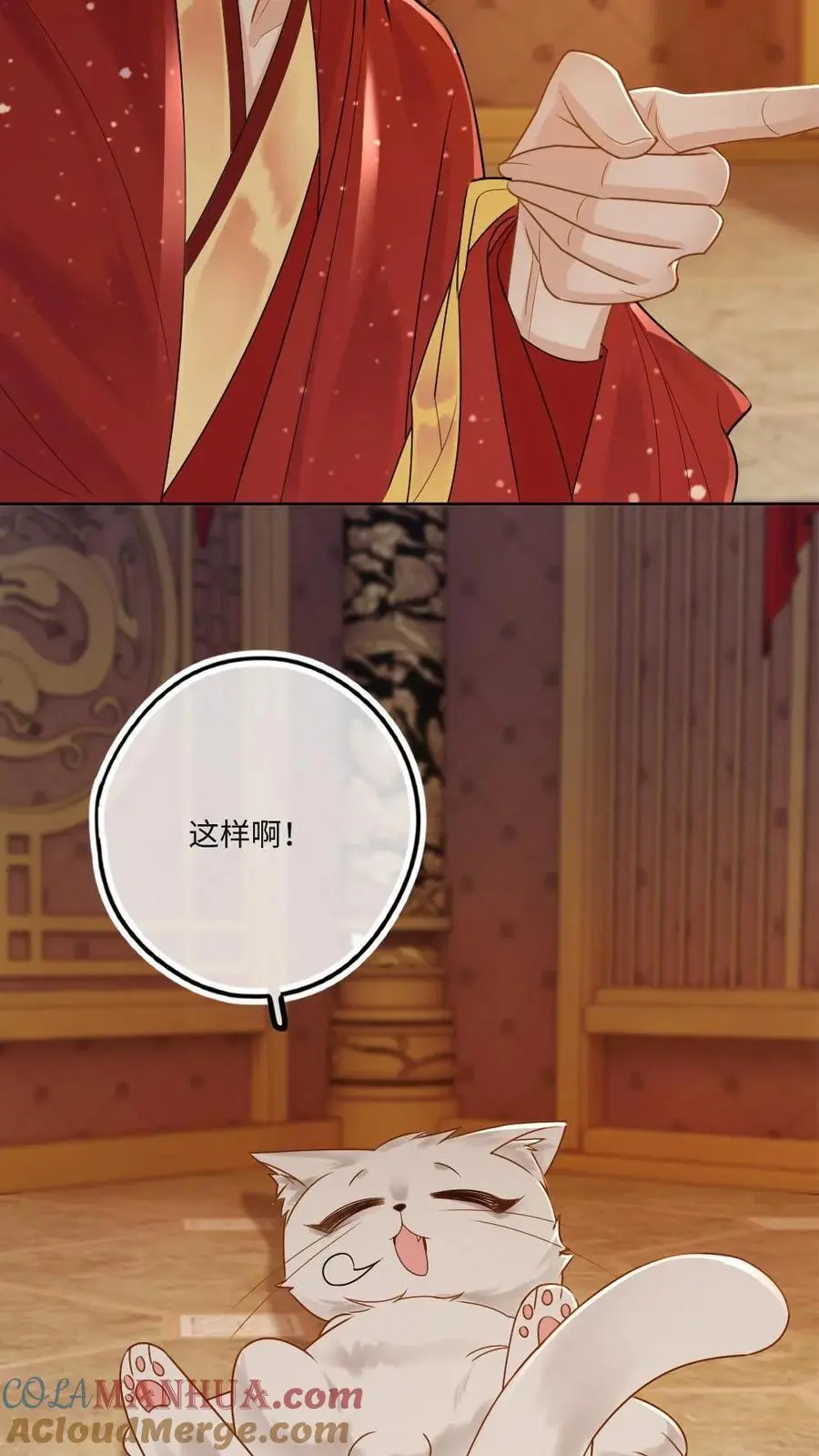 第79话 真假大婚22