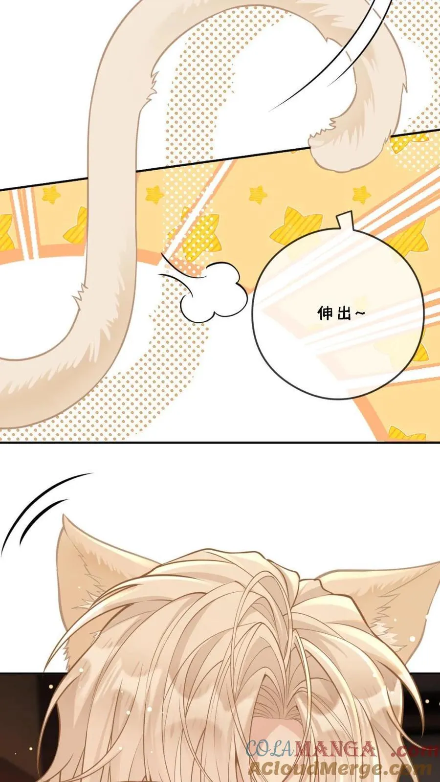 第218话 傲娇猫猫16