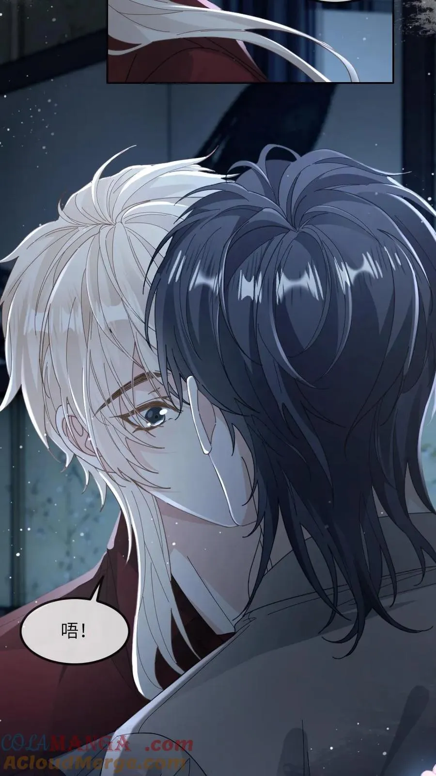 第178话 反攻？14