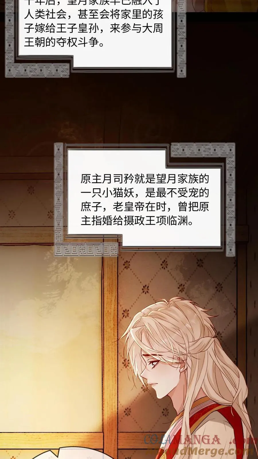 第209话 猫妖4