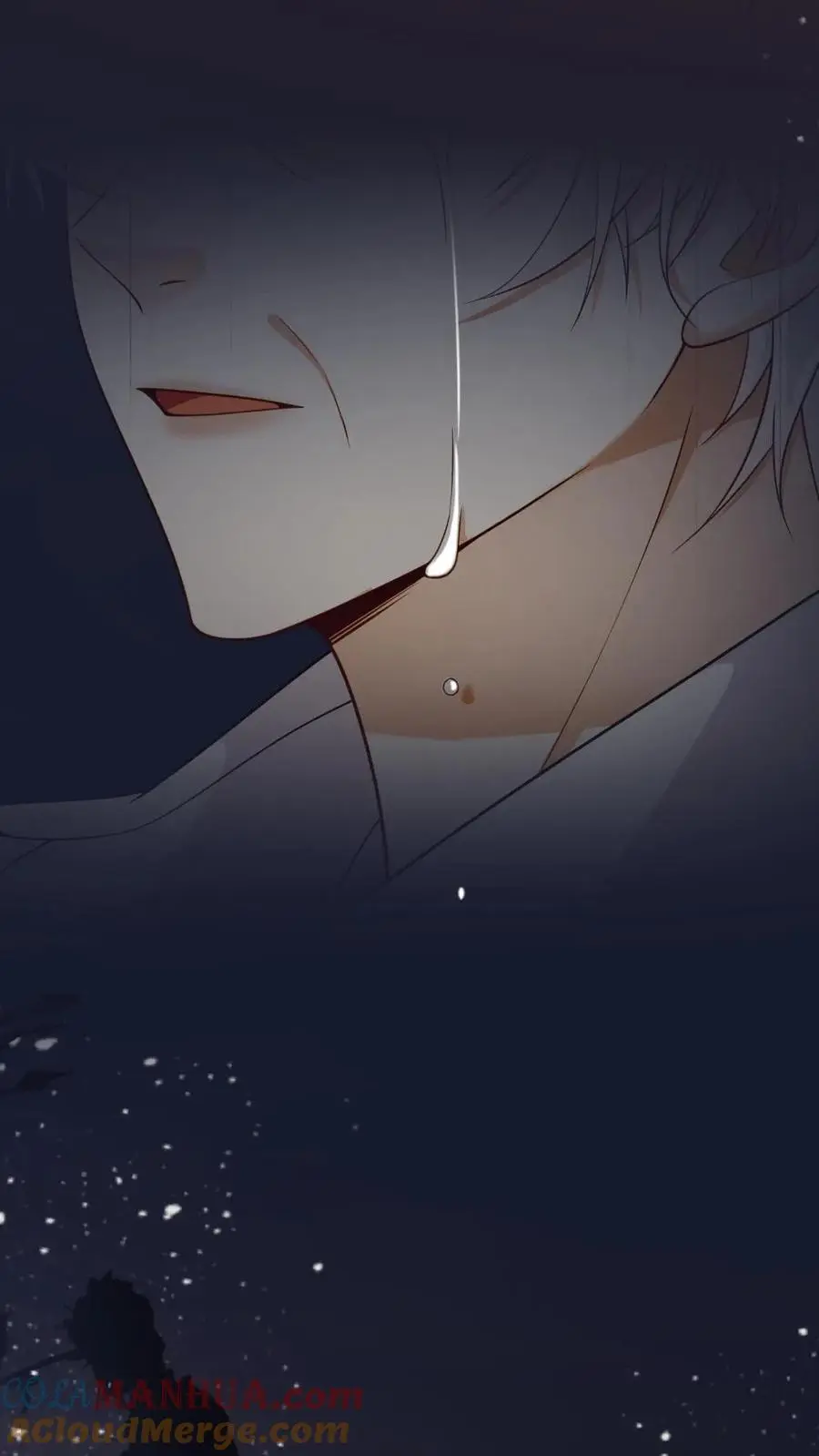 第49话 生生世世的相伴14