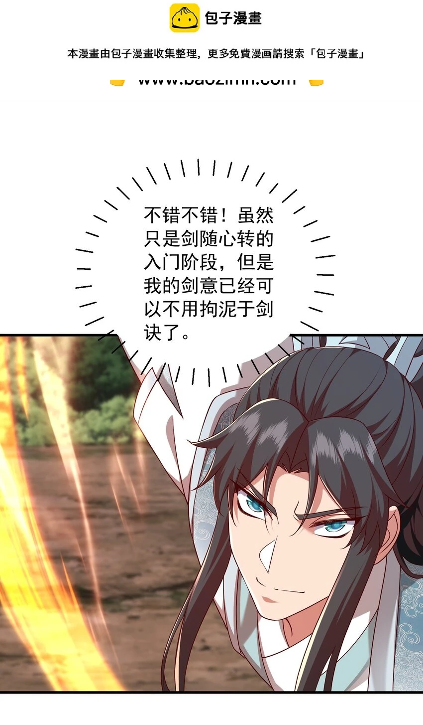 27精纯剑意1