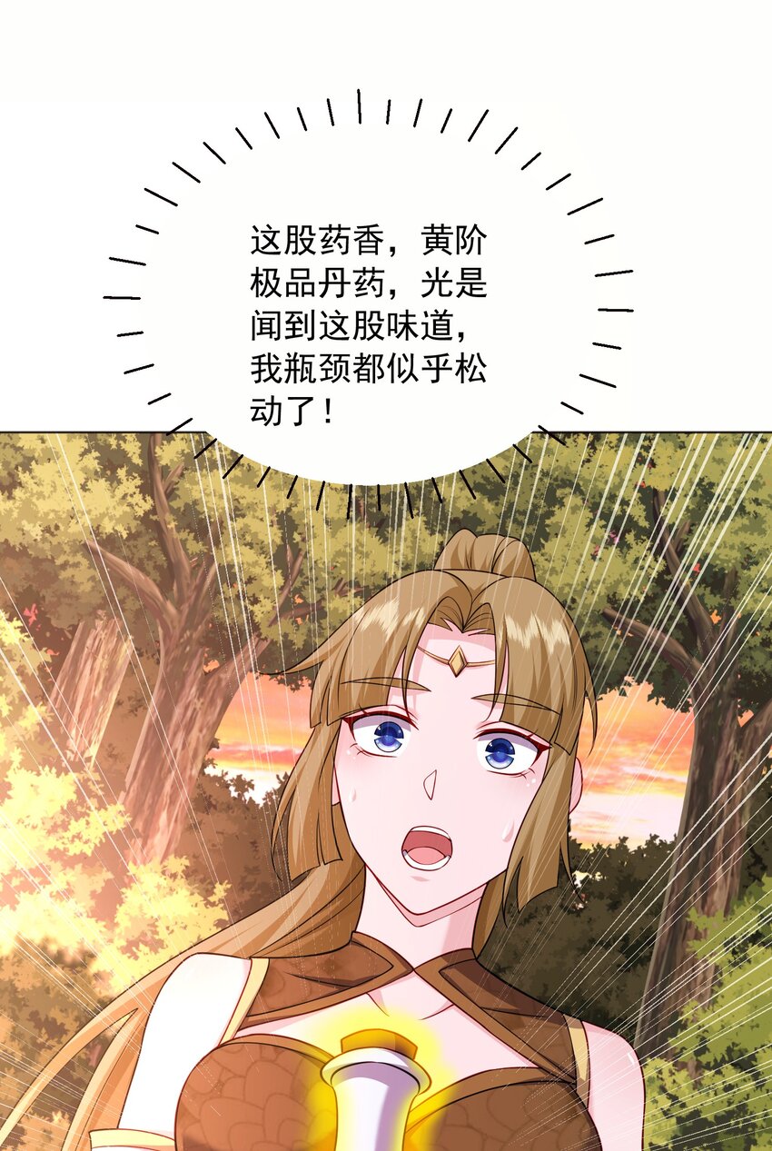 13玄阶丹药！29