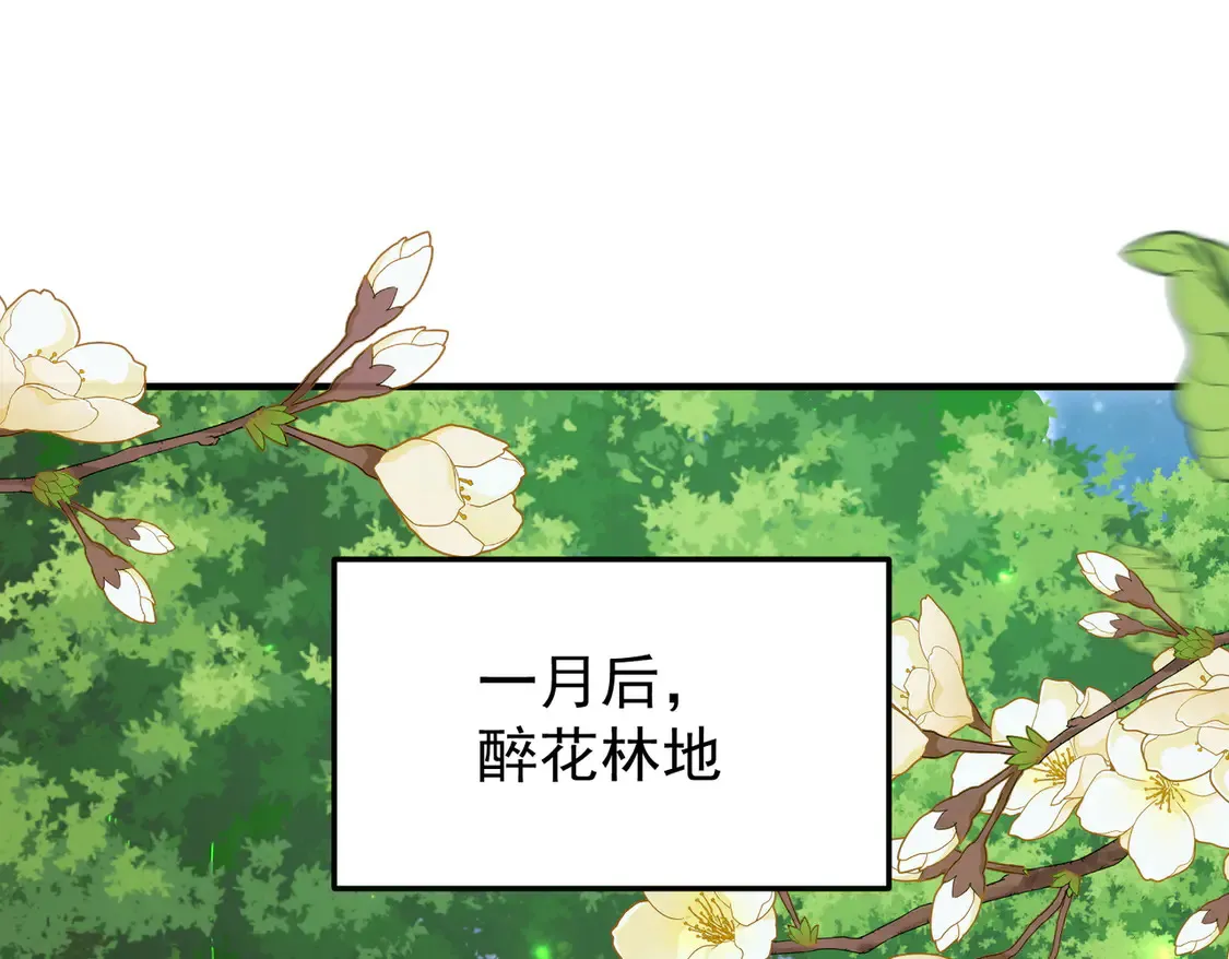78突破元婴4