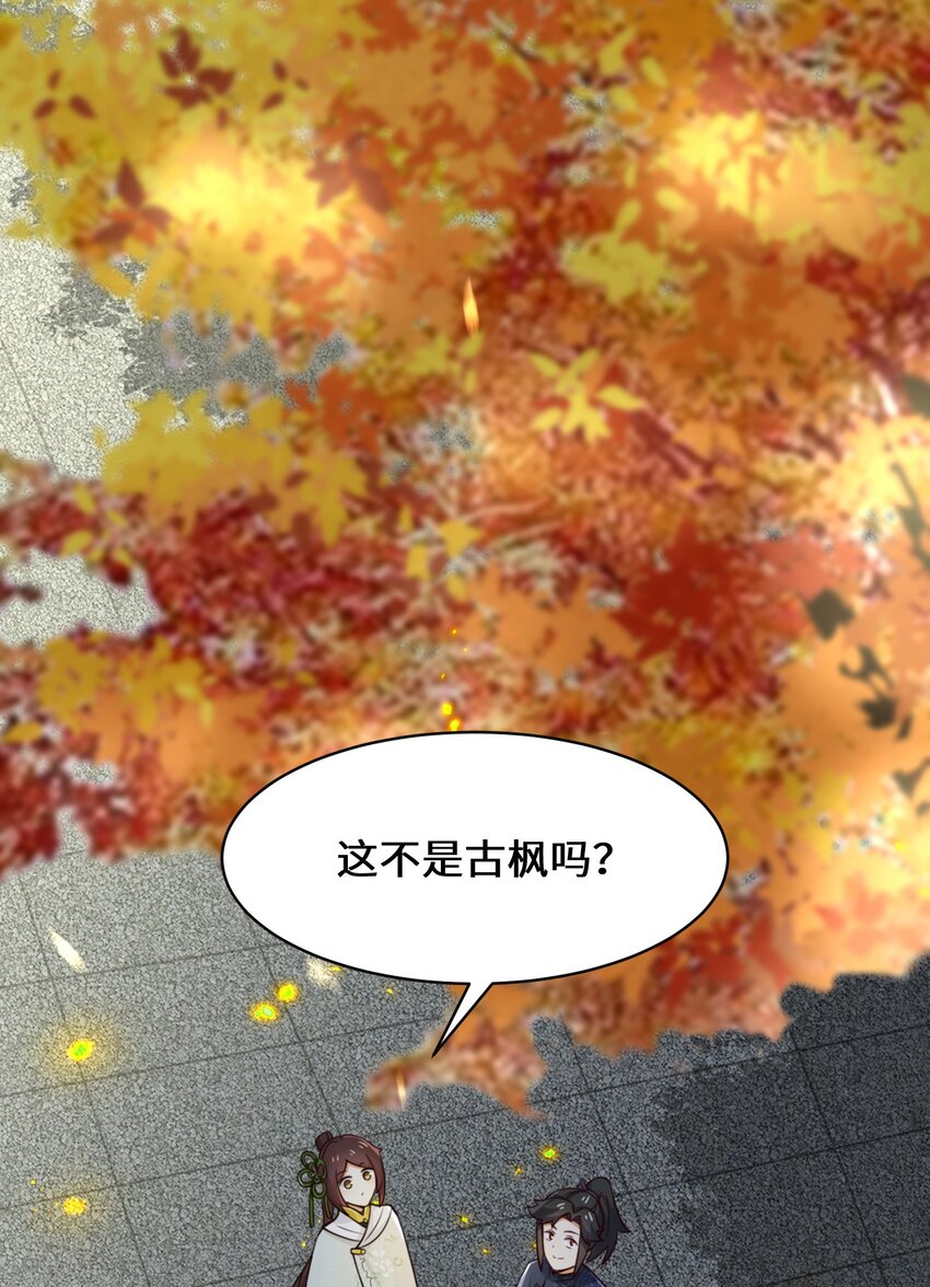 34-一吻定情27