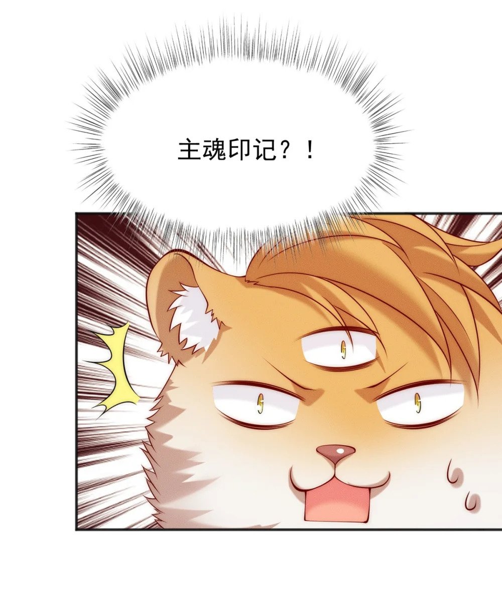 40 上仙给我当奴才24