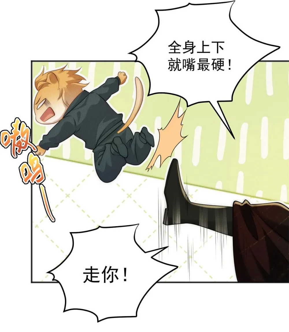 105 首席舔狗争霸赛34