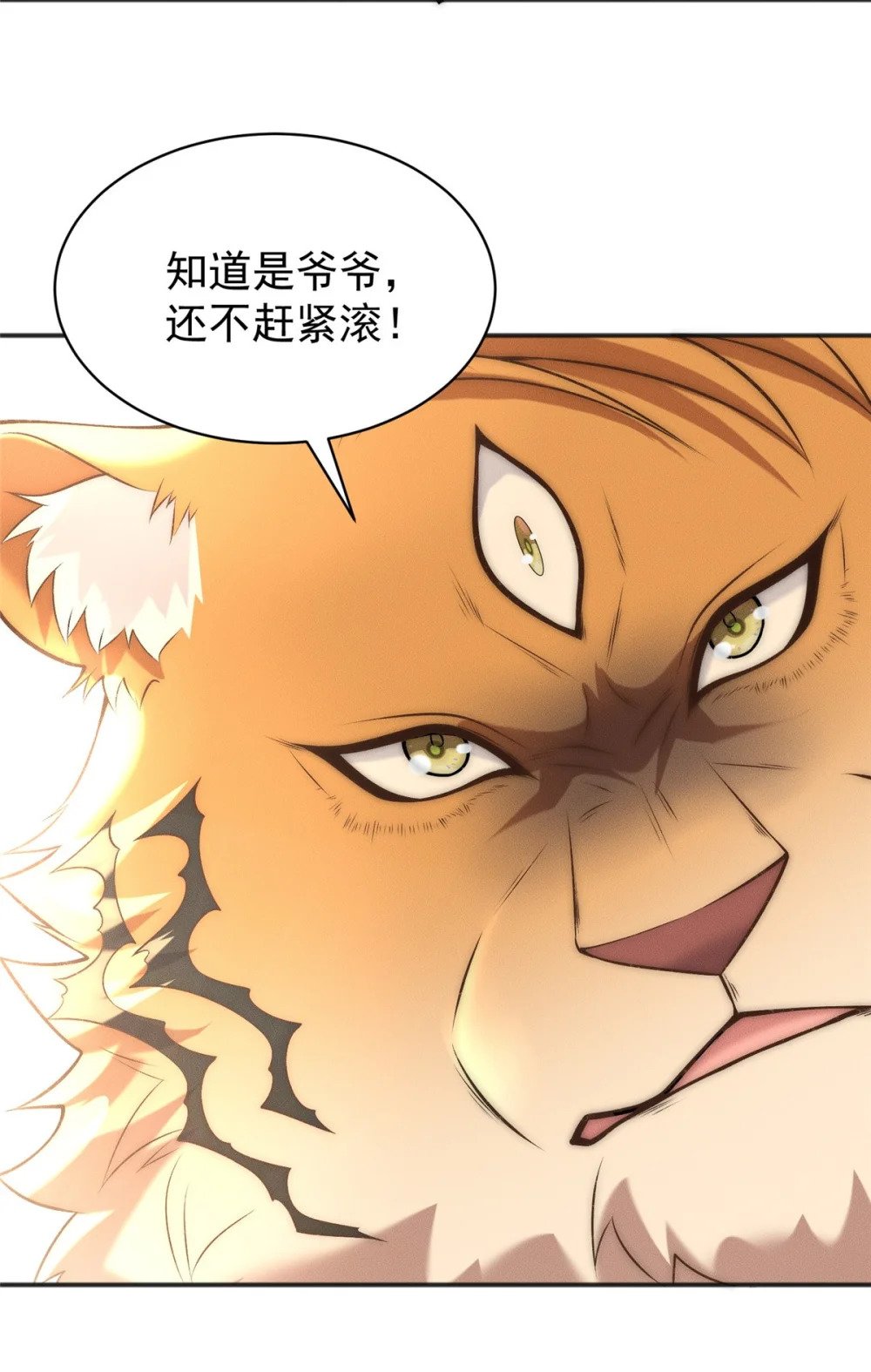 86 座流大磐龟25