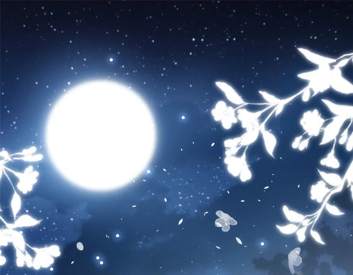 46 夜君擎的生日90