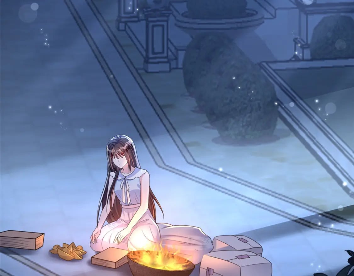 46 夜君擎的生日18