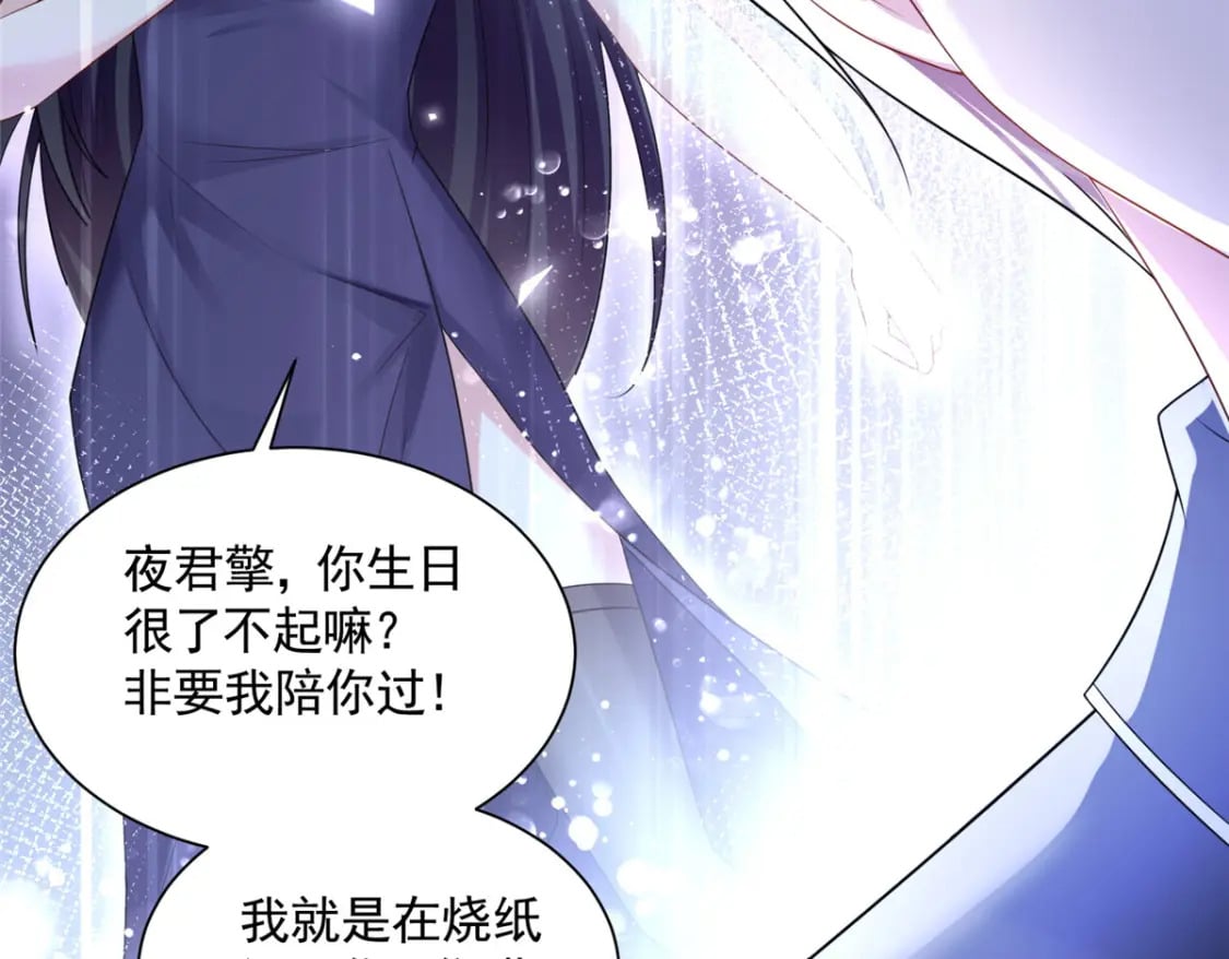 46 夜君擎的生日59