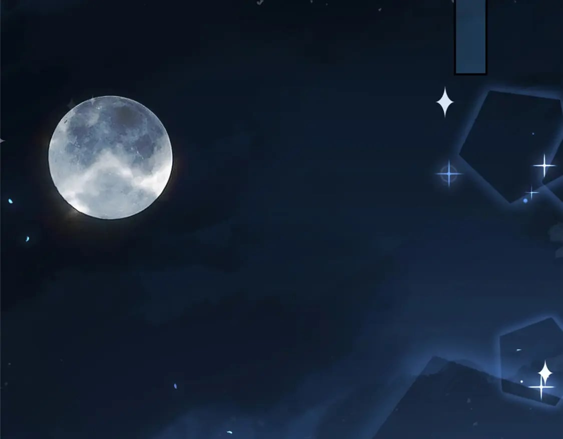 46 夜君擎的生日8