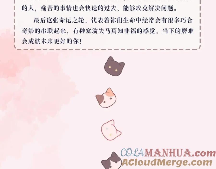 第7期 盐粒夫妇塔罗测试（日更中）14