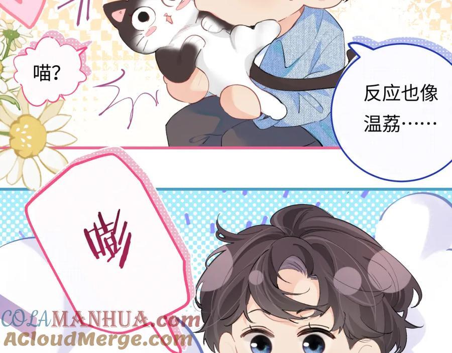 第10期 小剧场：三力变猫2（日更中）5