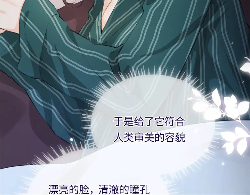 第06话 暗示感情73