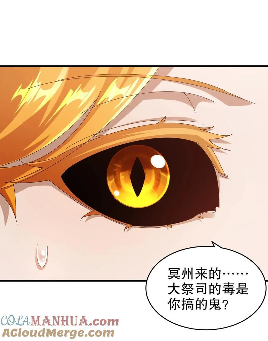 181 爱像一道绿光10