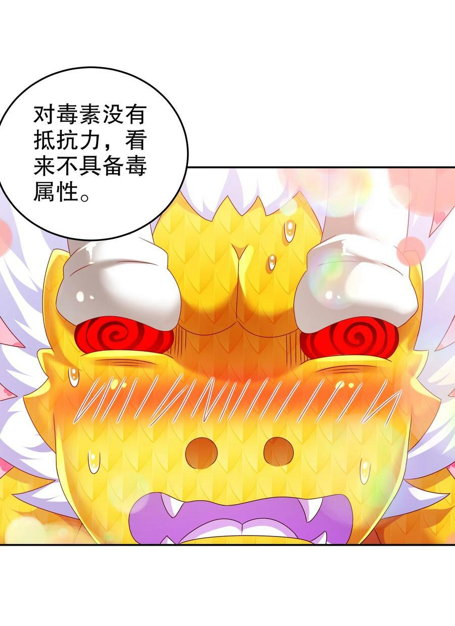 89 三属性兽源29