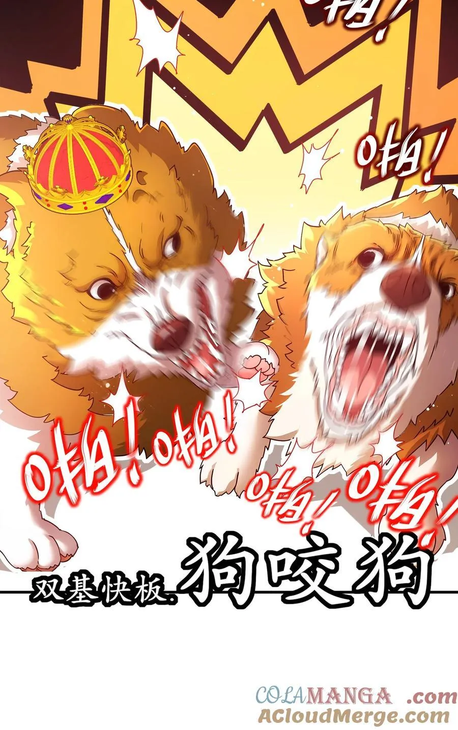 234 行动代号：狗咬狗14