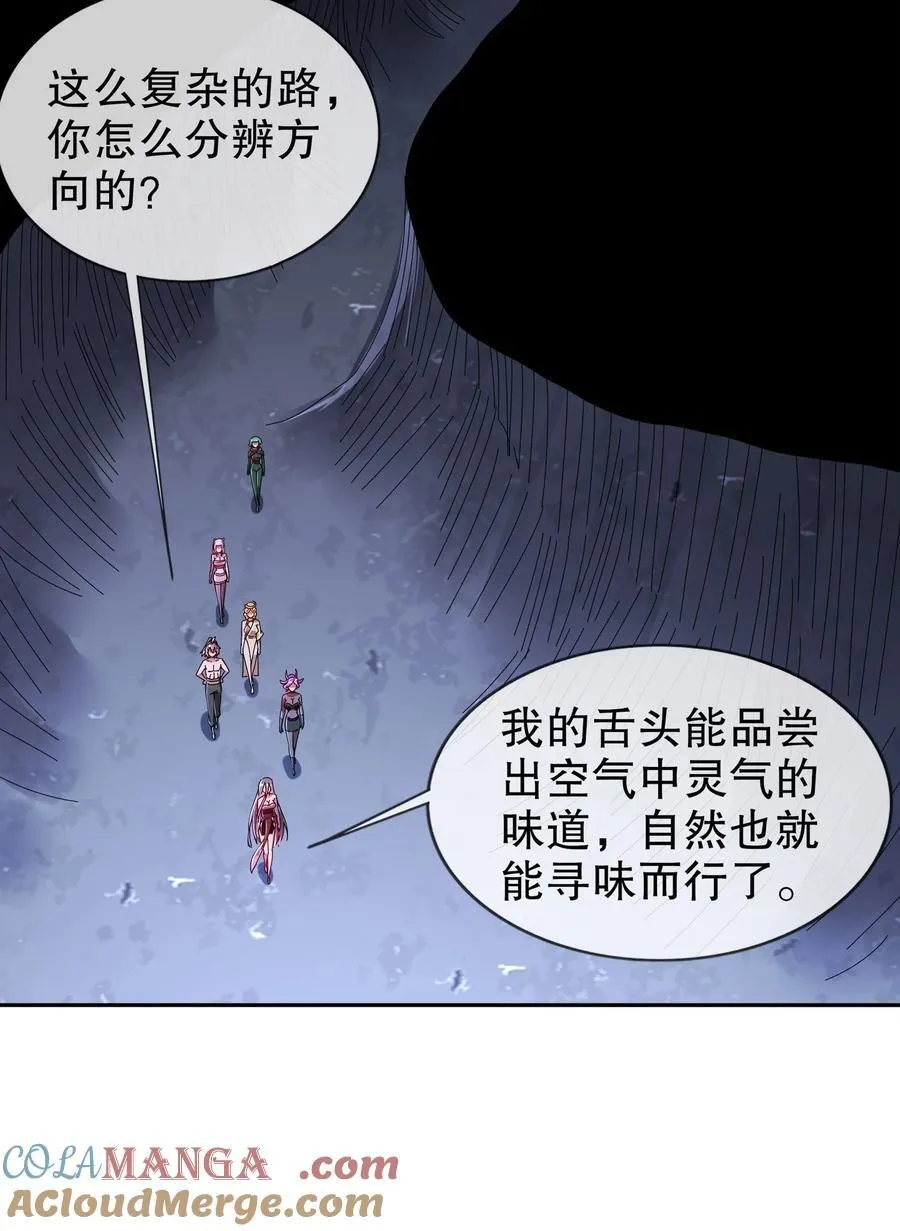 195 猫抓老鼠10