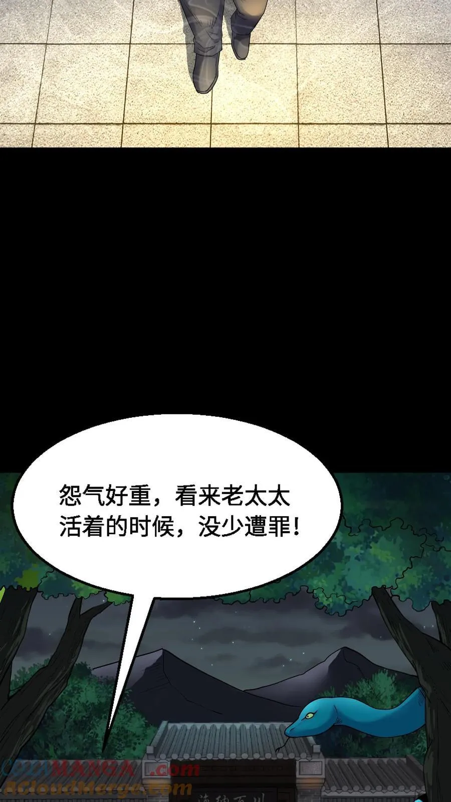 第339话 猫脸老太太的复仇6
