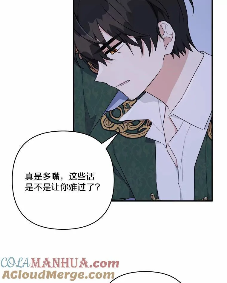 38.星星大人的庇护13
