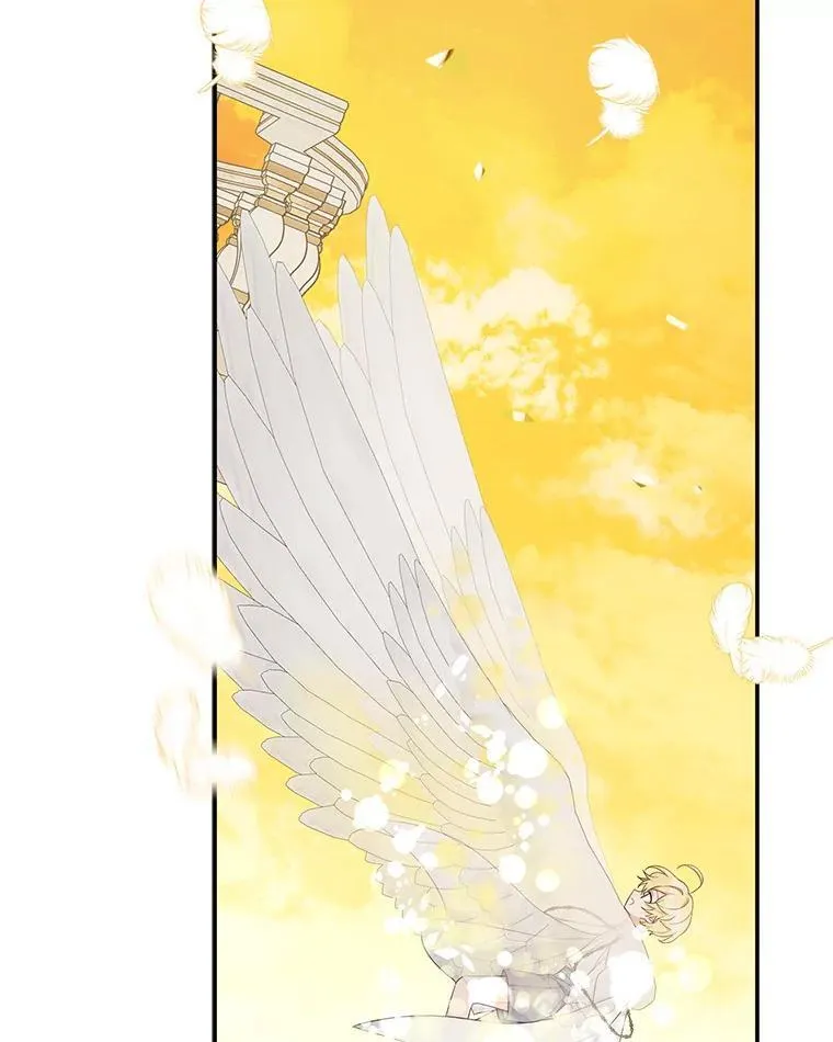 42.阳光精灵48