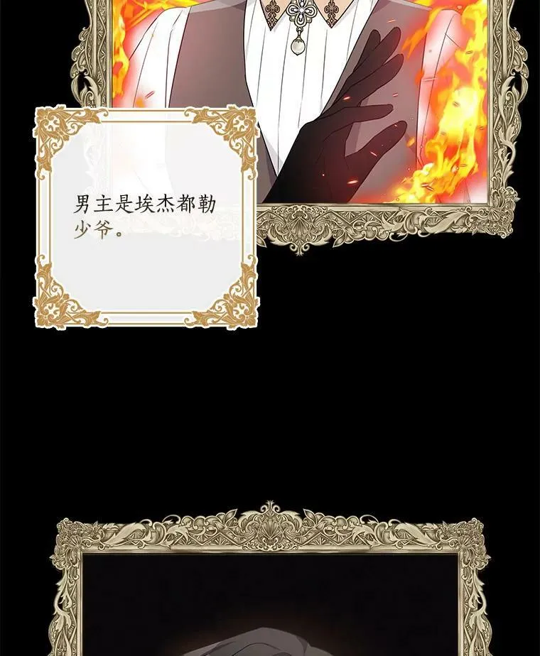 28.庇护能力43