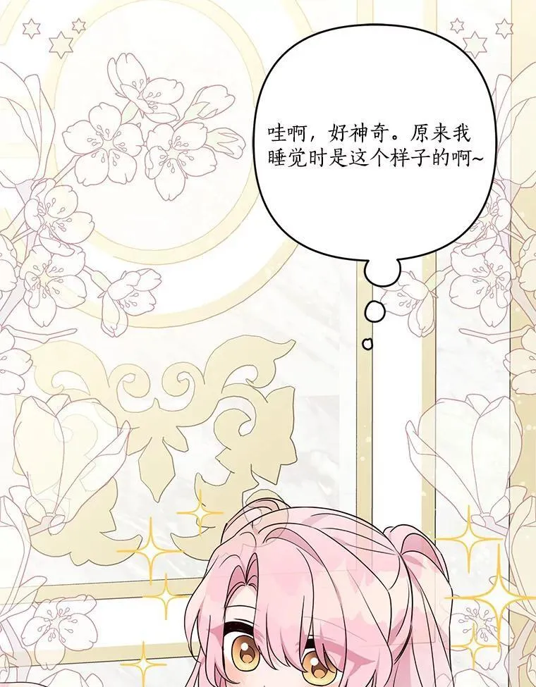 66.试试新庇护30