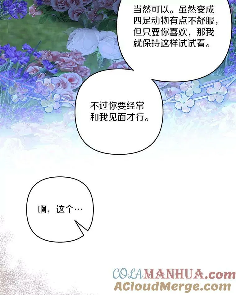31.你喜欢的样子125